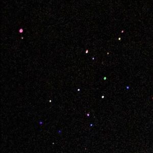 Meet your Posher, Karley